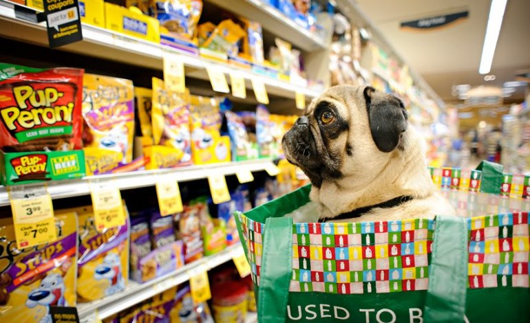 ​Animali nei supermercati, facciamo chiarezza