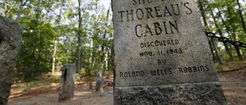 Thoreau ovvero il rispetto per la dignità della Natura
