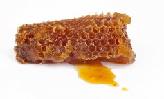 Il 75% del miele mondiale contiene insetticidi
