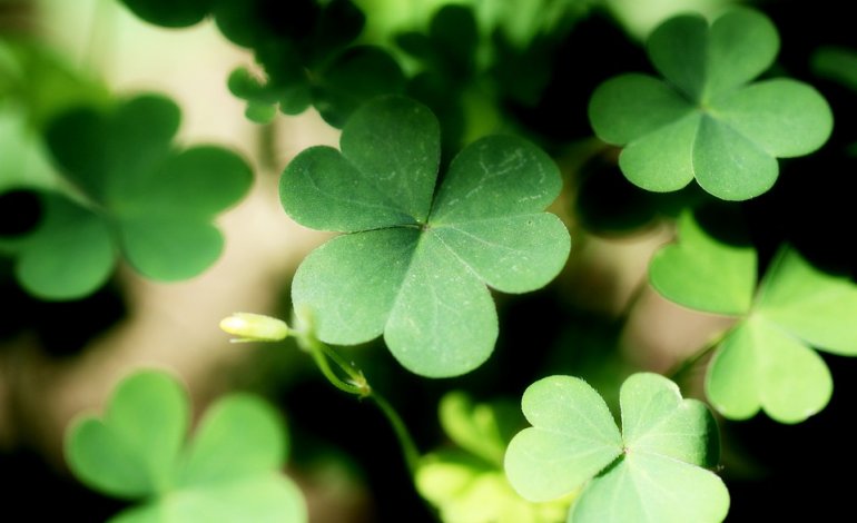 Ecobonus verde: a un passo dalla meta