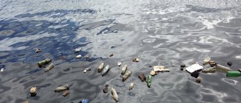 Anche a 11 km di profondità gli animali marini hanno mangiato plastica