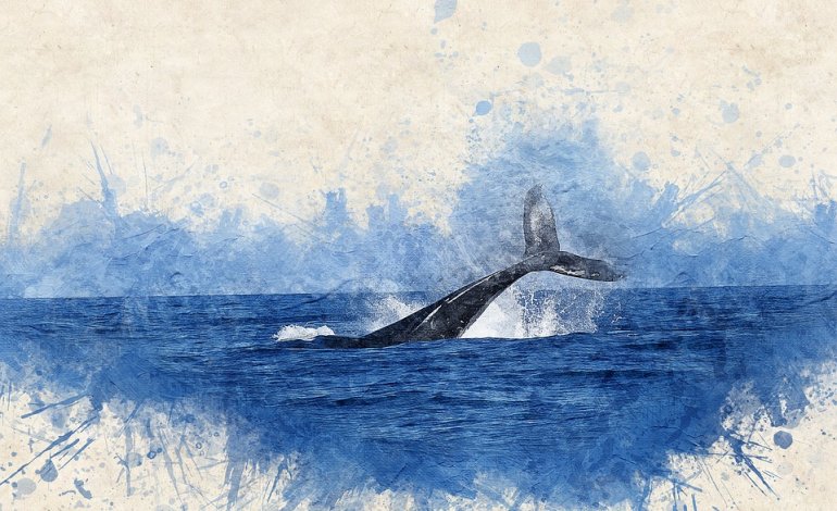 Artist for the whale: arte e ricerca uniti per i cetacei