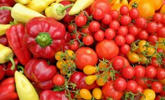 La dieta bio abbatte la presenza di pesticidi nel corpo