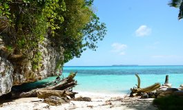 La richiesta di Palau ai viaggiatori: rispettate la natura e comportatevi con leggerezza