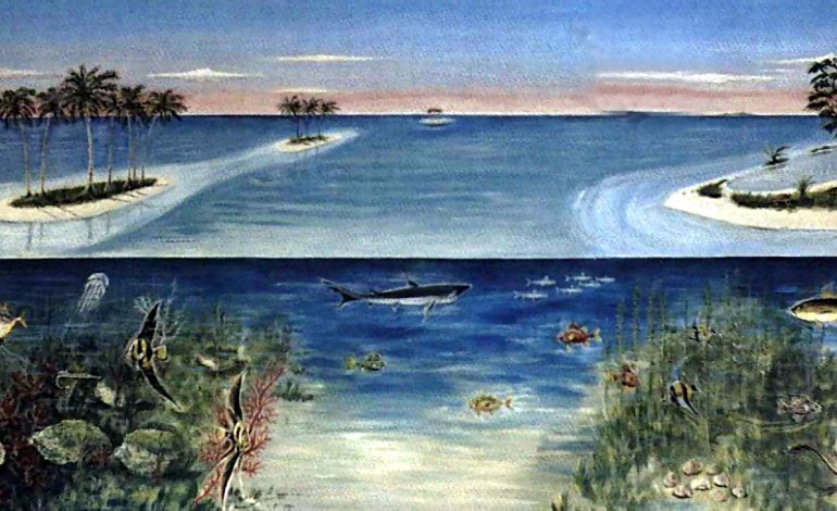Bolca: una laguna tropicale di 50 milioni di anni fa