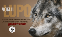 Vota il lupo: la campagna provocatoria del WWF