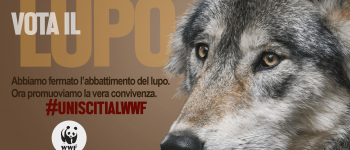 Vota il lupo: la campagna provocatoria del WWF