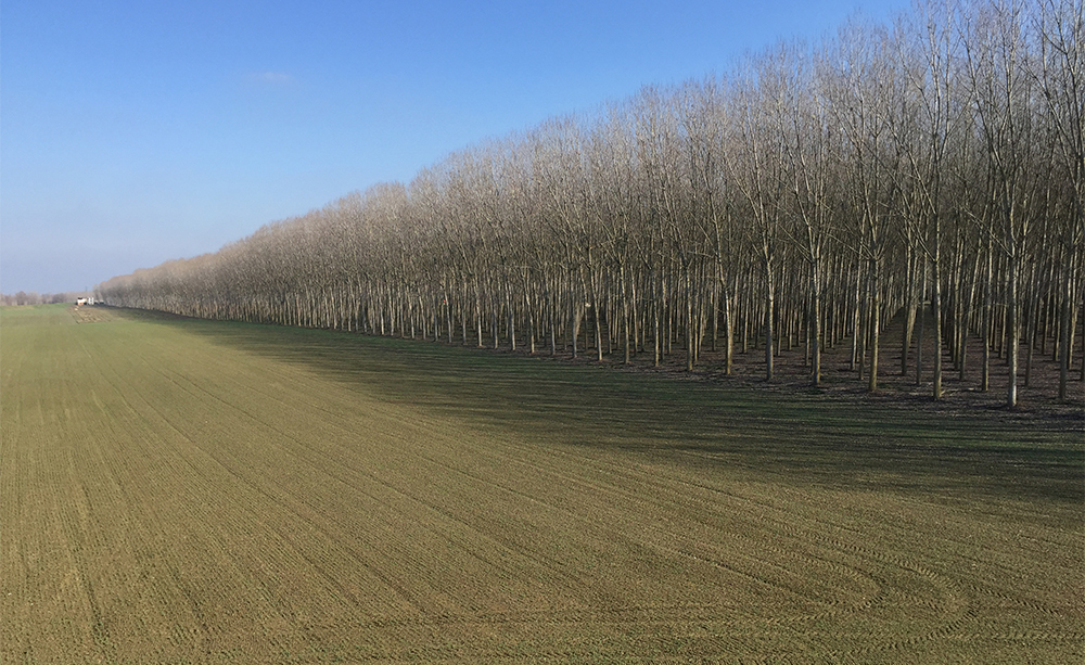 Panorama Sulla Pianura Padana Picture Of Castello Di Castano Agazzano Tripadvisor