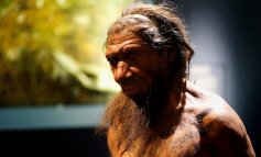 Uomo di Neanderthal, scomparso perché non sapeva disegnare