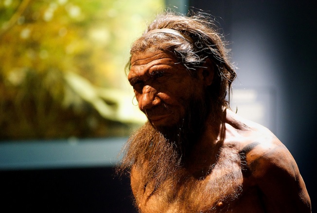 Uomo di Neanderthal, scomparso perché non sapeva disegnare