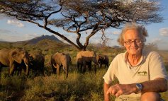 Iain Douglas-Hamilton: conoscere gli elefanti è il miglior modo per proteggerli