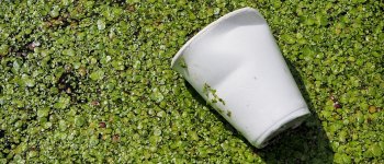 Microplastiche, l’inquinamento parte dai fiumi in città