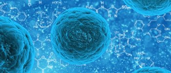 Lo studio italiano sulle cellule che cerca di svelare l’origine della vita