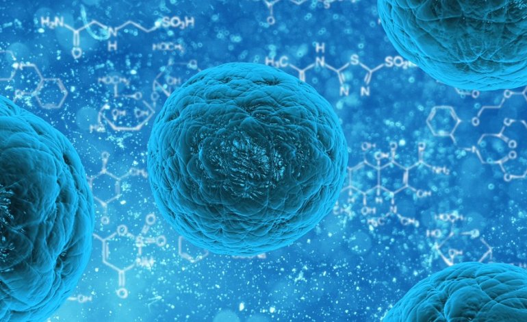 Lo studio italiano sulle cellule che cerca di svelare l’origine della vita