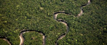 Colombia, storica sentenza a favore dell’ambiente