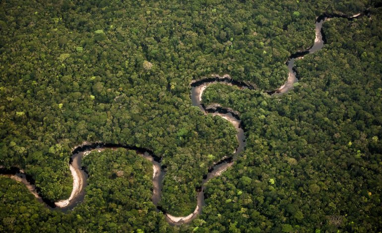 Colombia, storica sentenza a favore dell’ambiente
