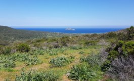 Due itinerari per la Corsica in bicicletta