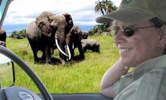 Cynthia Moss, una (inaspettata) vita per gli elefanti