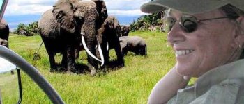 Cynthia Moss, una (inaspettata) vita per gli elefanti