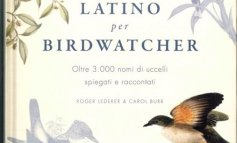 Il latino che serve per il birdwatching