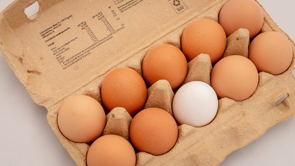 n. 4 Stampo per la produzione di uova reali stampo a forma di uovo reale multifunzionale non tossico per la fabbrica 