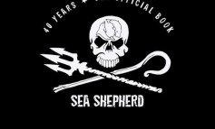 Sea Shepherd, quarant'anni dalla parte del mare