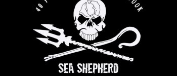 Sea Shepherd, quarant'anni dalla parte del mare