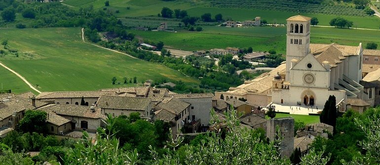 Gli ulivi di Assisi e di Spoleto riconosciuti patrimonio agricolo mondiale