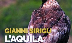 Aquila in Sardegna, il volo del rapace