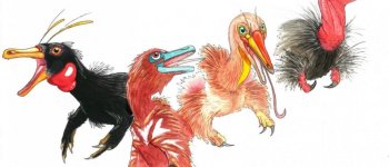 Xiyunykus pengi, il dinosauro che spiega l'evoluzione degli uccelli
