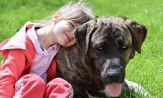 Convivenza tra cane e bambino, i consigli del veterinario
