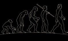 L’esito dell’evoluzione sarà l’autoestinzione della nostra specie