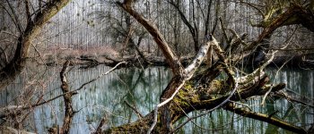 I tagli selvaggi stanno distruggendo i fiumi della Toscana