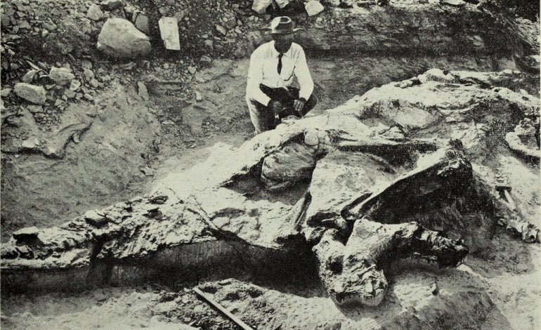 Barnum Brown e la scoperta di Tyrannosaurus rex