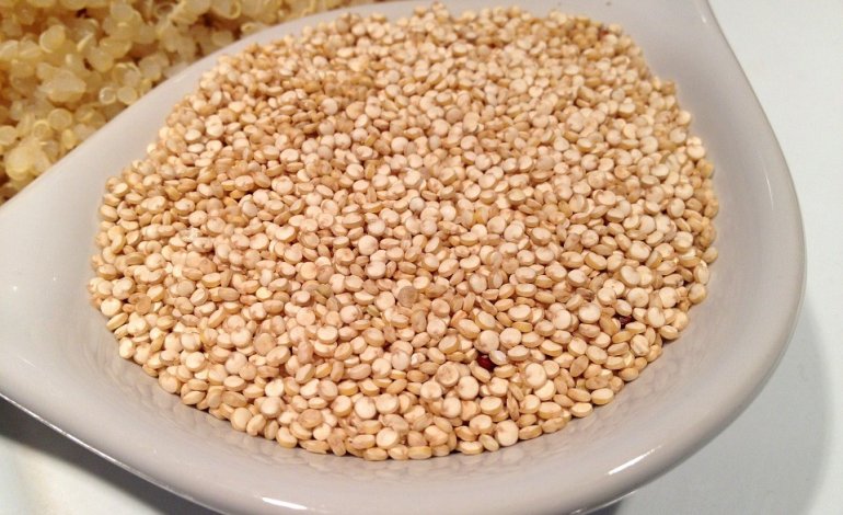 Quinoa, la pianta che sfamerà il Pianeta