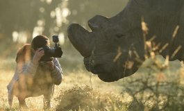 A tu per tu con i rinoceronti