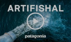 Artifishal: l'effetto devastante degli allevamenti ittici