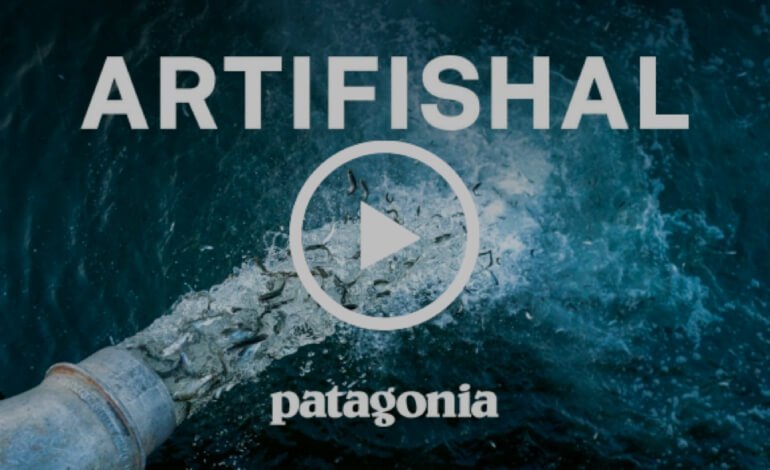 Artifishal: l’effetto devastante degli allevamenti ittici