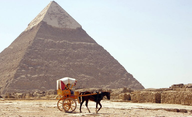 Cavalli e cammelli picchiati a sangue in Egitto
