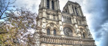 Notre-Dame, una foresta di pietra