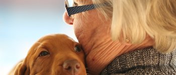 Pet Therapy, quando gli animali migliorano la vita