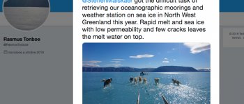 Groenlandia senza ghiaccio, i cani camminano sull'acqua