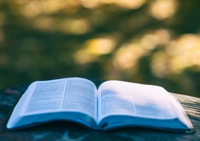 Leggere per pensare: La vita agra