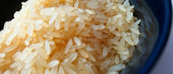 Sulle tavole arriva riso dal Vietnam che sfrutta i bambini