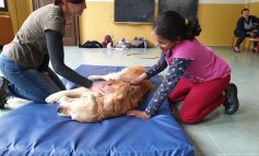 Pet Therapy con bambini dagli 8 anni