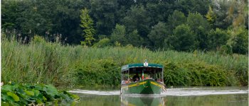 Parco del Mincio: 35 anni di capitale ambientale per tutti