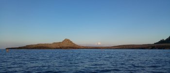 Isole Egadi, il regno della foca monaca