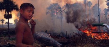 La Foresta amazzonica brucia, ma non è colpa del clima