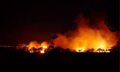 Brucia anche il Paraguay: in Sud America è emergenza
