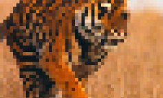 Animali come pixels: le foto che mostrano quanti ne restano